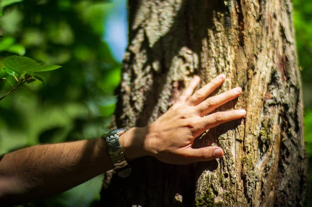 A man grasping at a tree